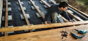 Quelle distance entre les navets ?